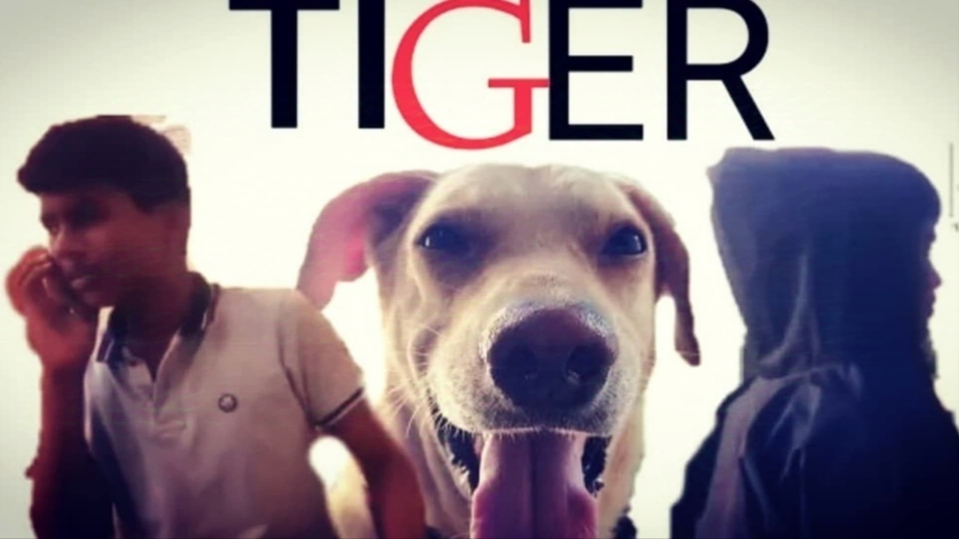 Tiger รีวิวหนัง